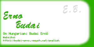 erno budai business card