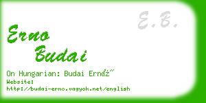 erno budai business card